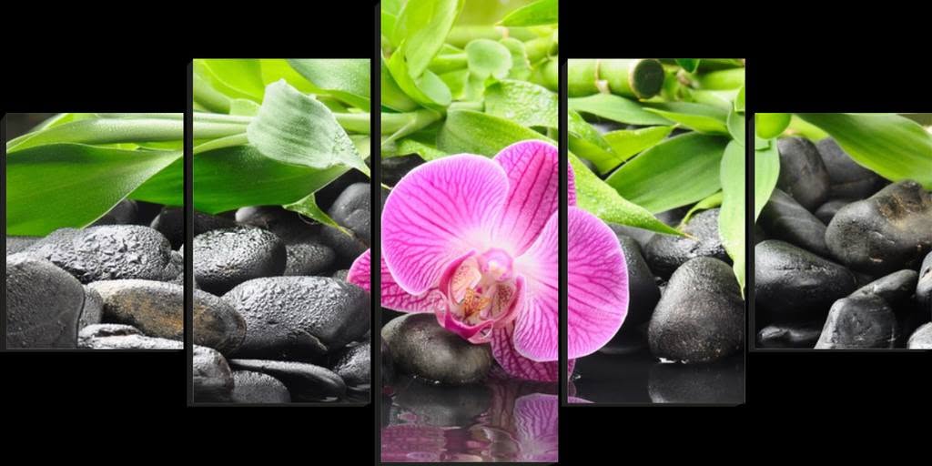 Orquídea